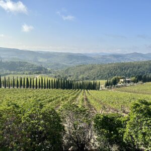 Tuscan Wine Tasting Dinner